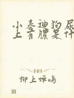 小泰迪狗尿道口上有脓是什么原因