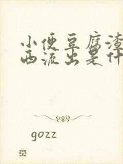 小便豆腐渣样东西流出是什么情况