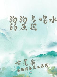 狗狗多喝水多尿的原因