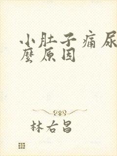 小肚子痛尿频什么原因