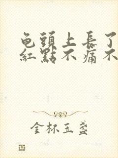 龟头上长了几个红点不痛不痒