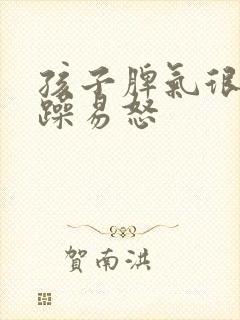 孩子脾气很大暴躁易怒