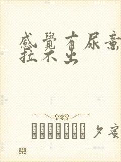 感觉有尿意但又拉不出