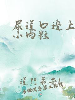 尿道口边上长了小肉粒