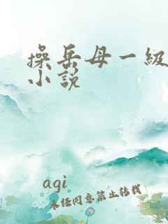 操岳母一级操的小说