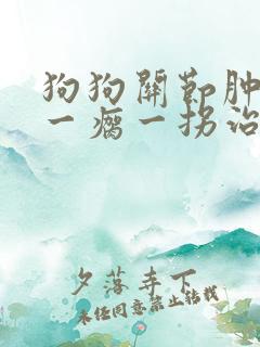 狗狗关节肿走路一瘸一拐治疗方法