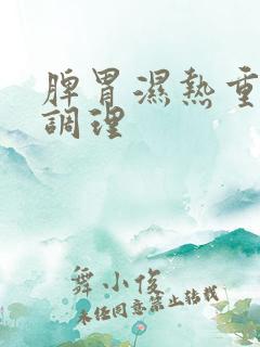 脾胃湿热重怎么调理