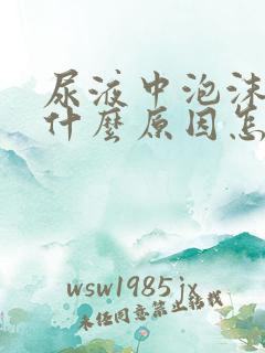 尿液中泡沫多是什么原因怎么治