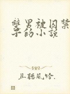 双男被囚禁还生子的小说