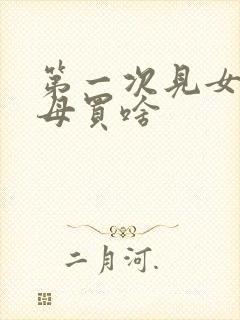 第一次见女方父母买啥