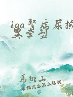iga肾病尿检异常型