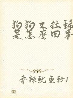 狗狗又拉稀又吐是怎么回事