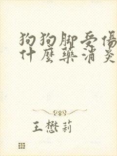 狗狗脚受伤了用什么药消炎好