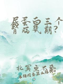 尿蛋白三个加是肾病几期?