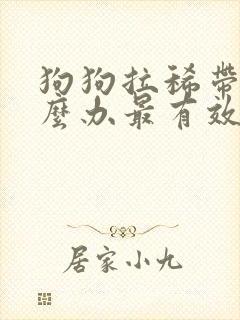 狗狗拉稀带血怎么办最有效的方法