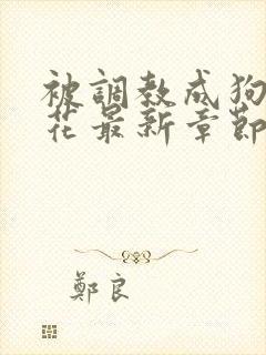 被调教成狗的校花最新章节