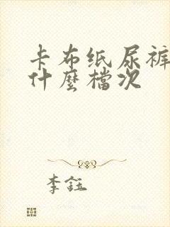 卡布纸尿裤属于什么档次