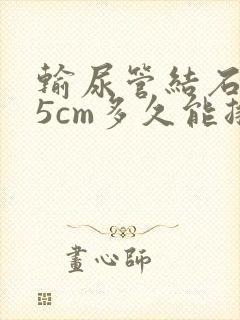 输尿管结石0.5cm多久能排出