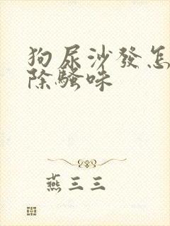 狗尿沙发怎么去除骚味