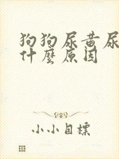 狗狗尿黄尿少是什么原因