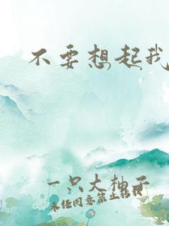 不要想起我歌词