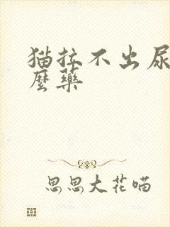 猫拉不出尿吃什么药