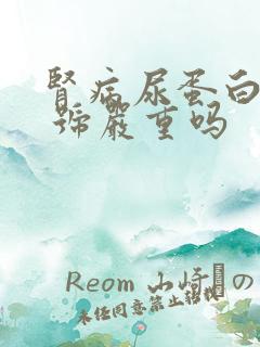 肾病尿蛋白3个 号严重吗