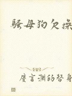 骚母狗欠操了