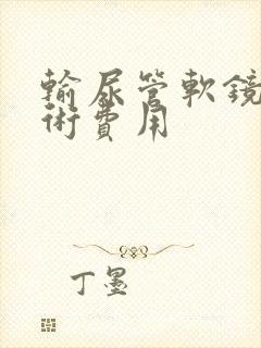 输尿管软镜排石术费用