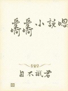 爱爱小说嗯嗯啊啊啊