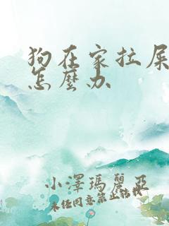 狗在家拉屎撒尿怎么办