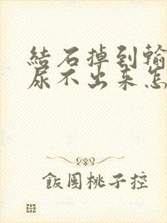 结石掉到输尿管尿不出来怎么办