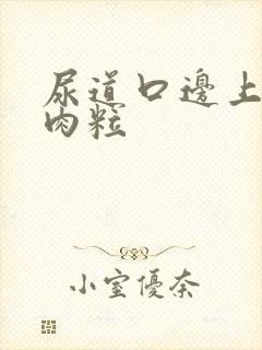 尿道口边上长小肉粒