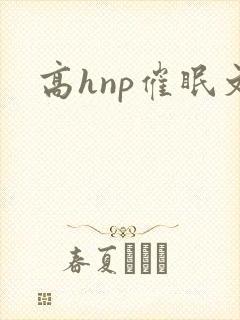 高hnp催眠文