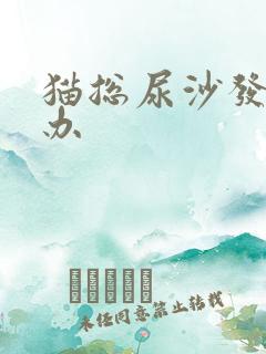 猫总尿沙发怎么办