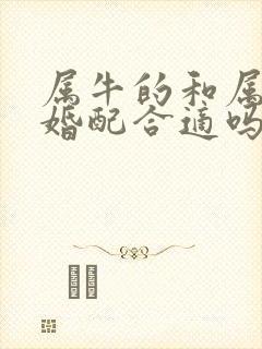 属牛的和属蛇的婚配合适吗