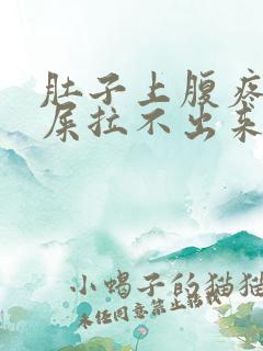 肚子上腹疼想拉屎拉不出来怎么回事