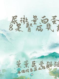 尿微量白蛋白48是肾病几期