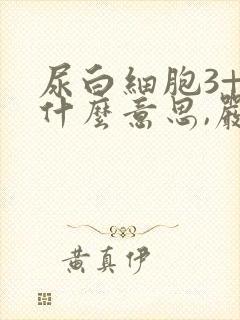 尿白细胞3+是什么意思,严重吗