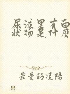 尿液里有白色絮状物是什么原因