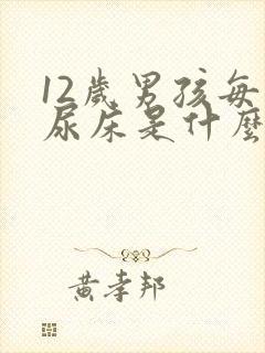 12岁男孩每天尿床是什么回事