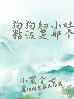 狗狗细小吐白色粘液是哪个阶段