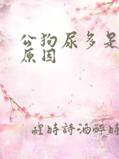 公狗尿多是什么原因