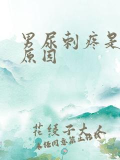 男尿刺疼是什么原因