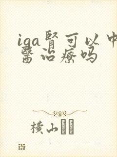 iga肾可以中医治疗吗