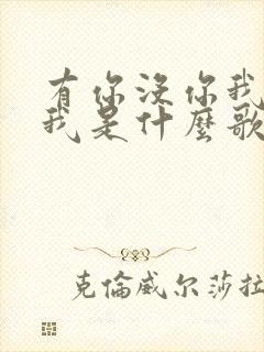 有你没你我都是我是什么歌