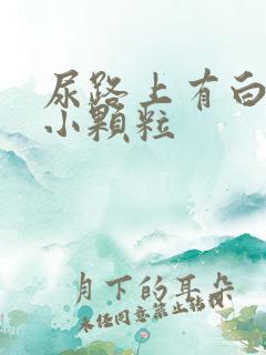 尿路上有白色的小颗粒