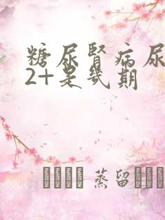 糖尿肾病尿蛋白2+是几期