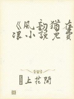 《风韵犹存》孟浪小说免费阅读