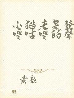 小猫老是发出咕噜咕噜的声音,怎么回事